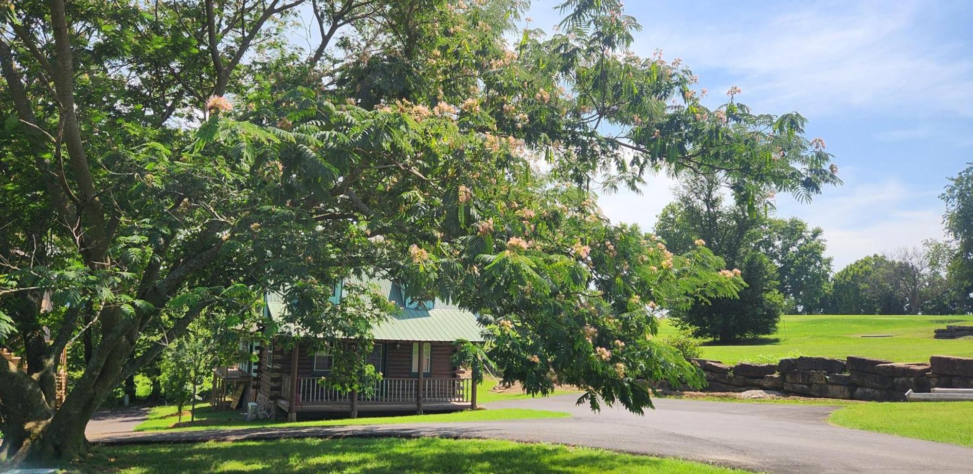 Fairway Inn Berryville Εξωτερικό φωτογραφία